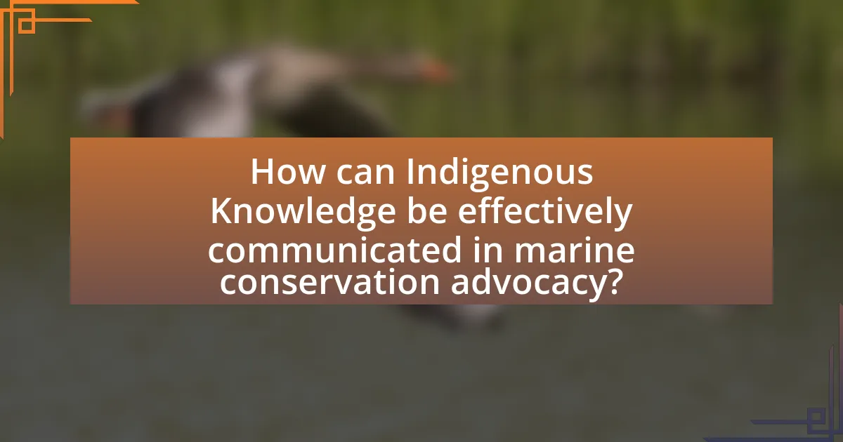 How can Indigenous Knowledge be effectively communicated in marine conservation advocacy?