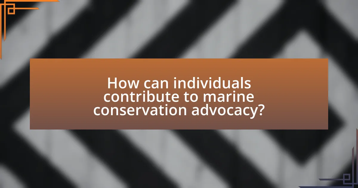 How can individuals contribute to marine conservation advocacy?