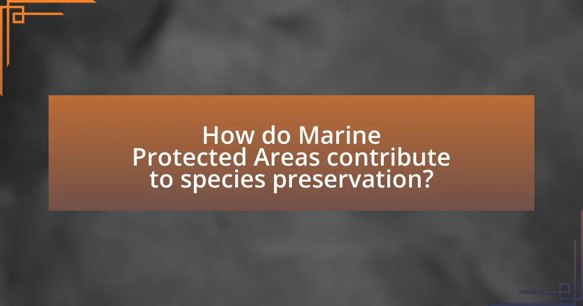 How do Marine Protected Areas contribute to species preservation?