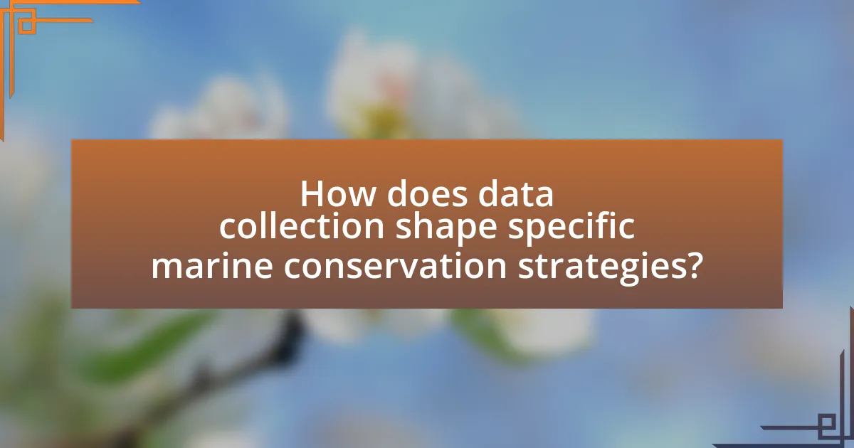 How does data collection shape specific marine conservation strategies?