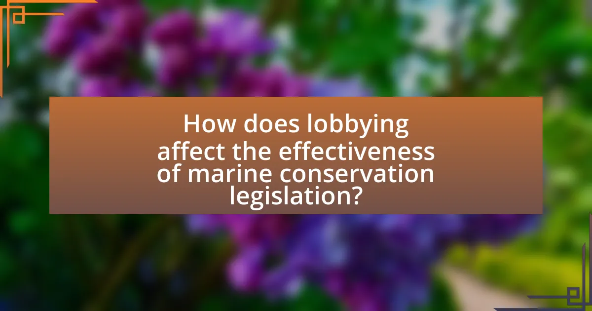 How does lobbying affect the effectiveness of marine conservation legislation?