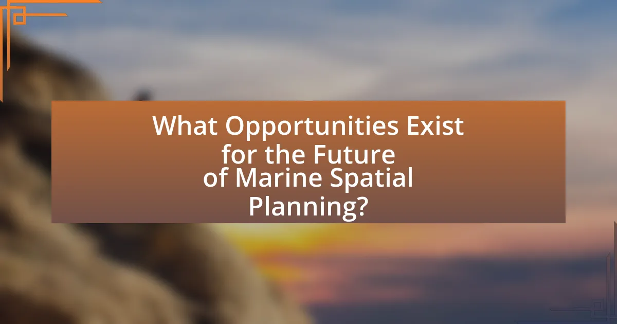 What Opportunities Exist for the Future of Marine Spatial Planning?