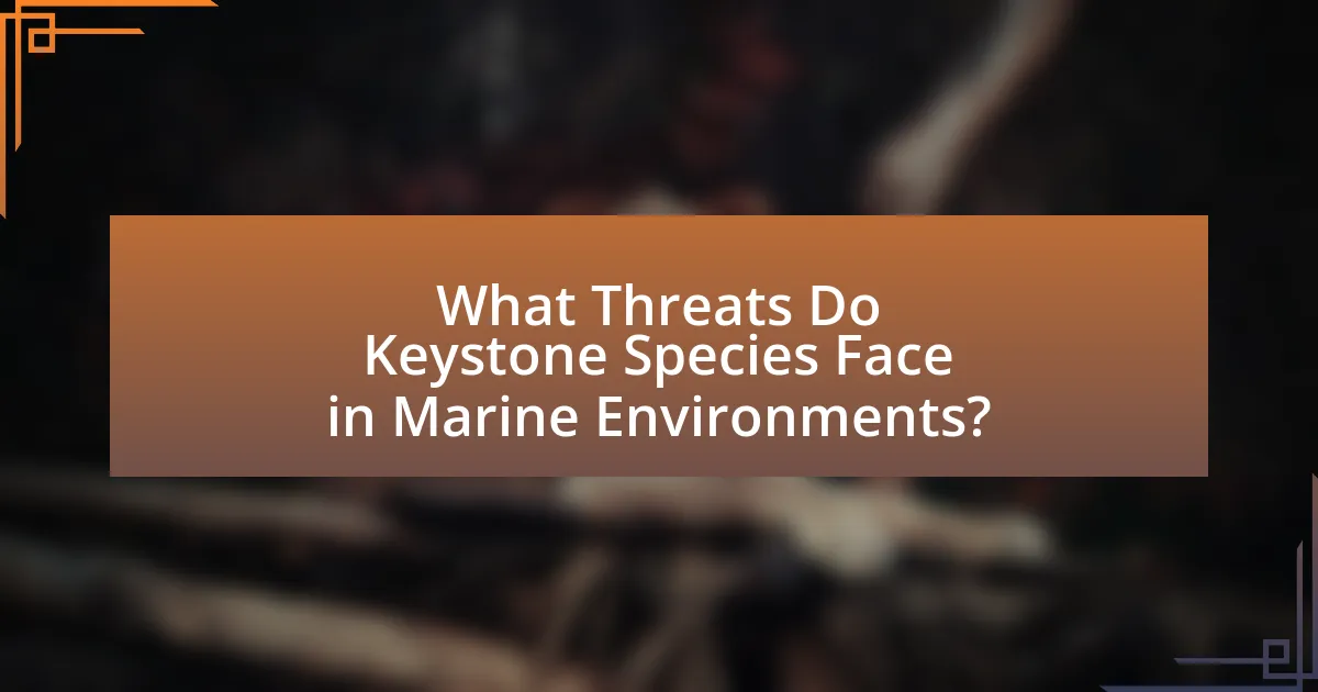 What Threats Do Keystone Species Face in Marine Environments?