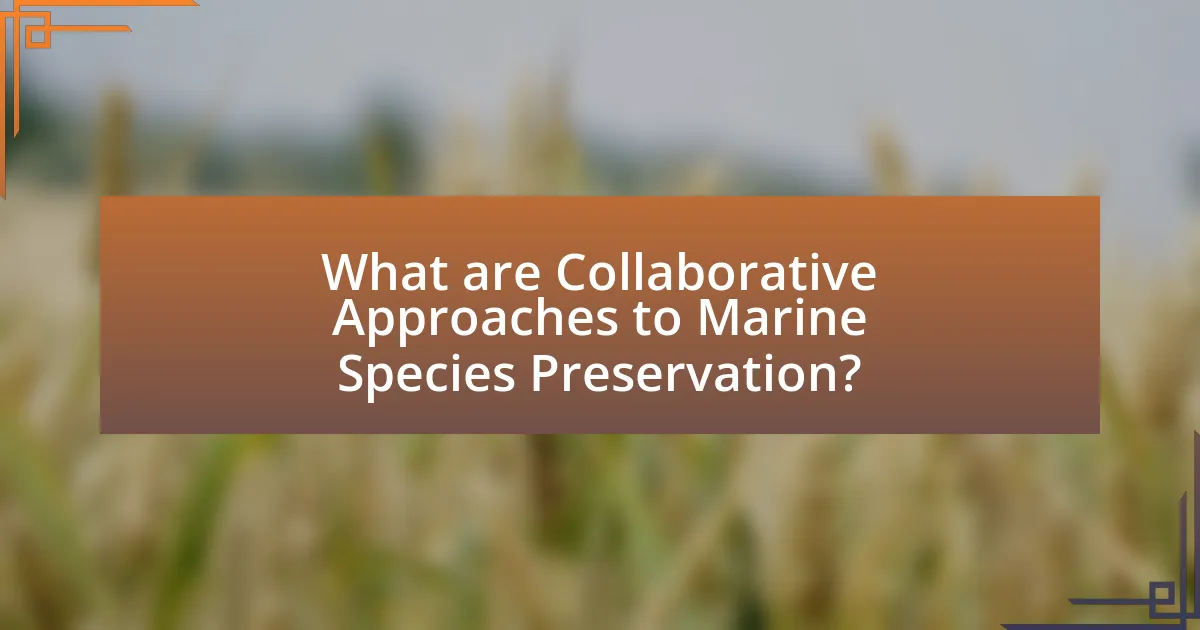 What are Collaborative Approaches to Marine Species Preservation?