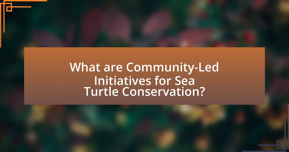 What are Community-Led Initiatives for Sea Turtle Conservation?
