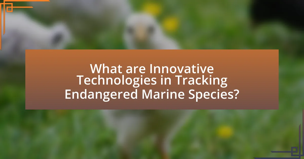 What are Innovative Technologies in Tracking Endangered Marine Species?