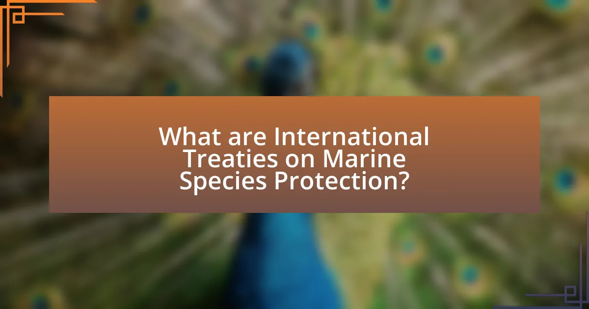 What are International Treaties on Marine Species Protection?