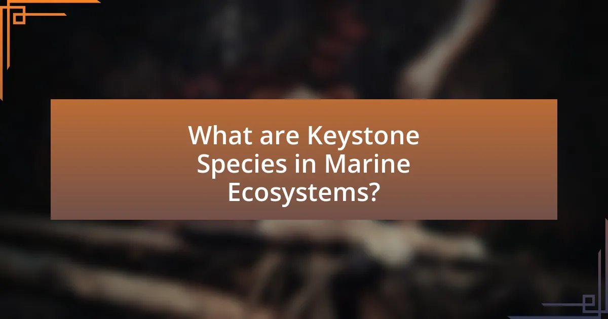 What are Keystone Species in Marine Ecosystems?