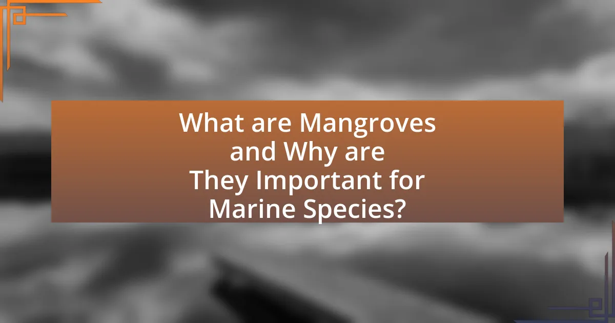 What are Mangroves and Why are They Important for Marine Species?