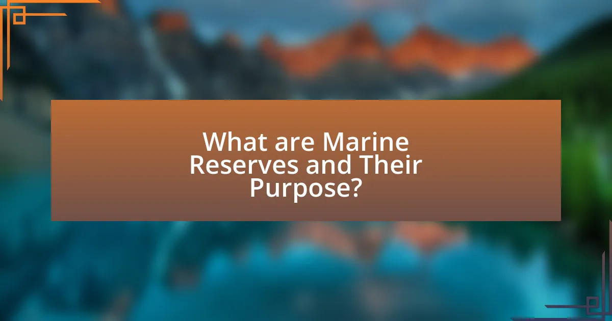 What are Marine Reserves and Their Purpose?