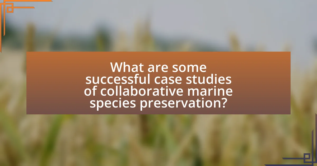 What are some successful case studies of collaborative marine species preservation?