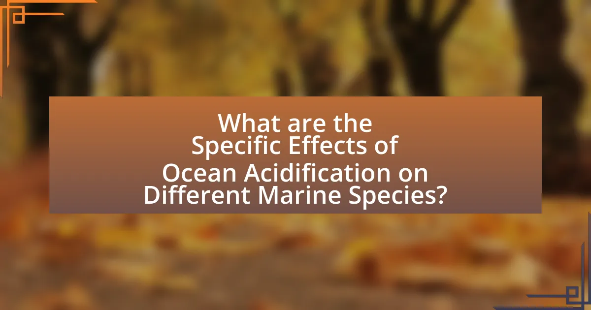 What are the Specific Effects of Ocean Acidification on Different Marine Species?