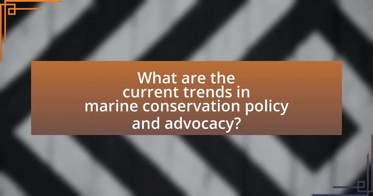 What are the current trends in marine conservation policy and advocacy?