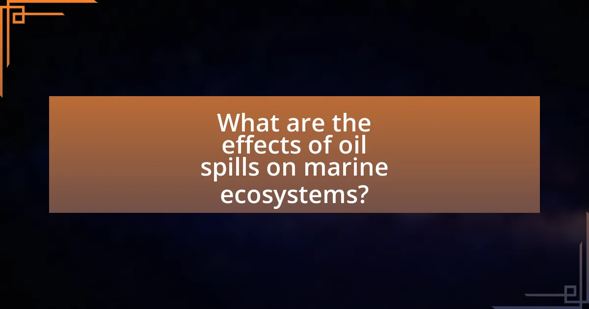 What are the effects of oil spills on marine ecosystems?