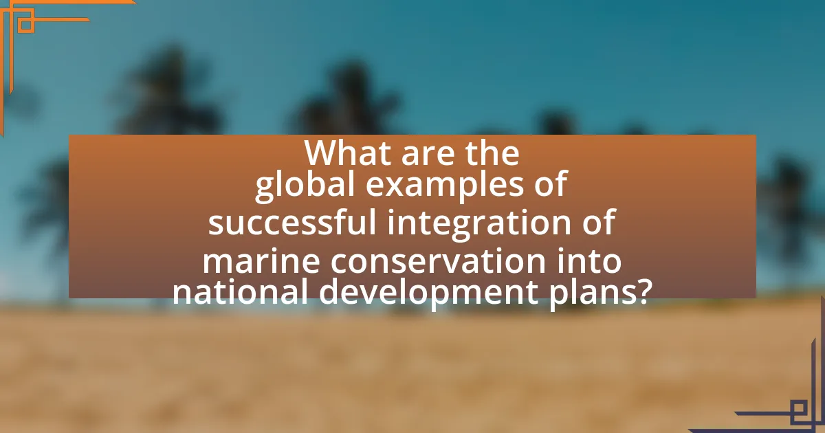 What are the global examples of successful integration of marine conservation into national development plans?