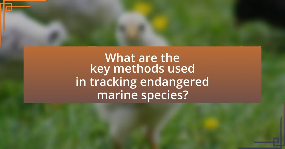 What are the key methods used in tracking endangered marine species?