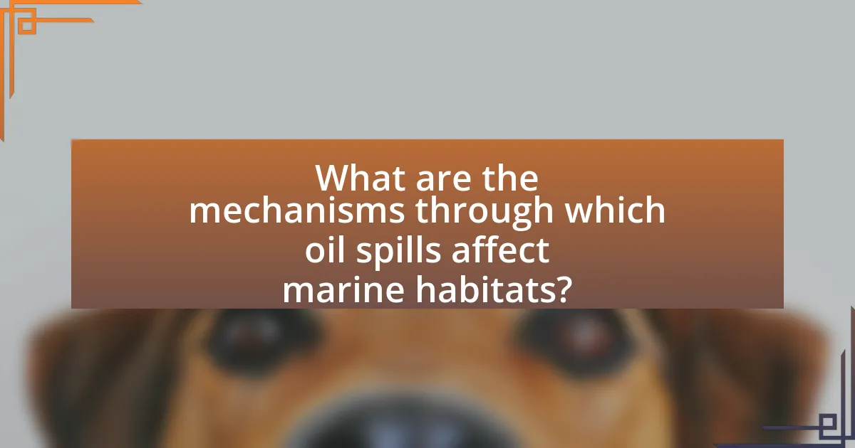 What are the mechanisms through which oil spills affect marine habitats?