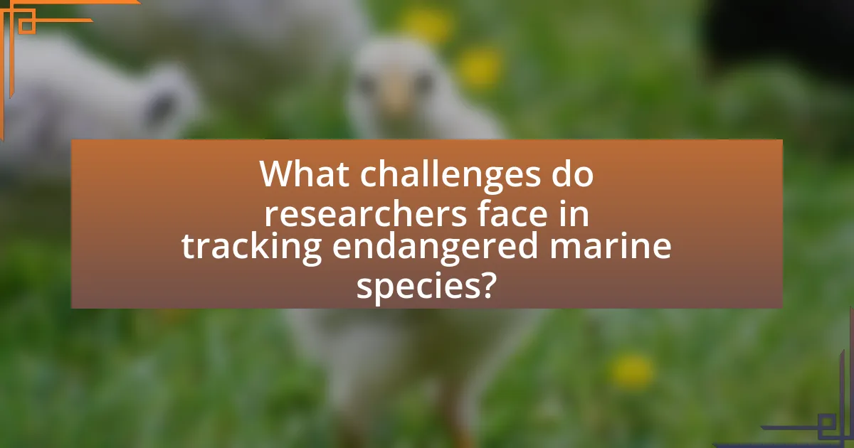 What challenges do researchers face in tracking endangered marine species?