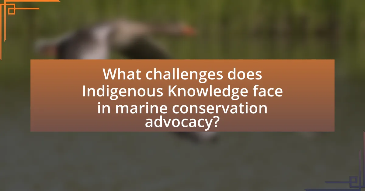 What challenges does Indigenous Knowledge face in marine conservation advocacy?