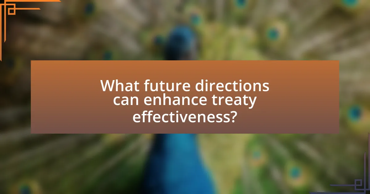 What future directions can enhance treaty effectiveness?