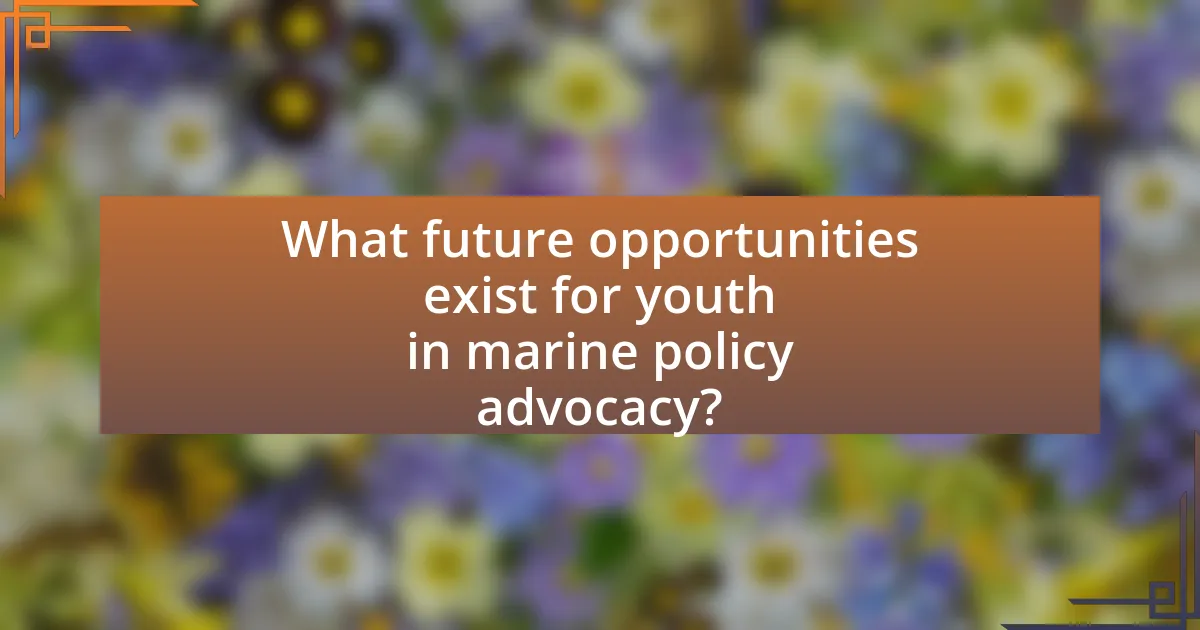 What future opportunities exist for youth in marine policy advocacy?
