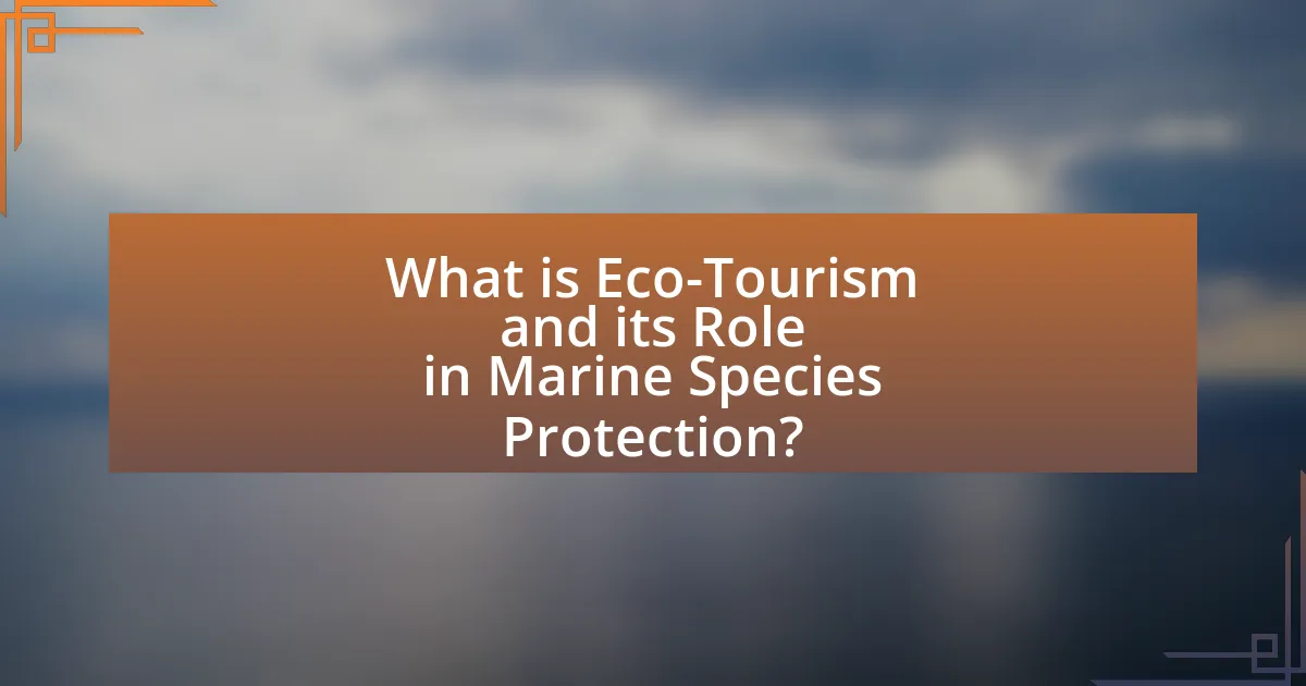 What is Eco-Tourism and its Role in Marine Species Protection?