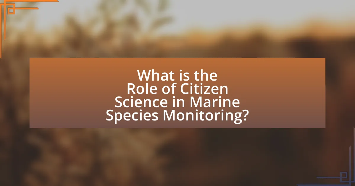 What is the Role of Citizen Science in Marine Species Monitoring?