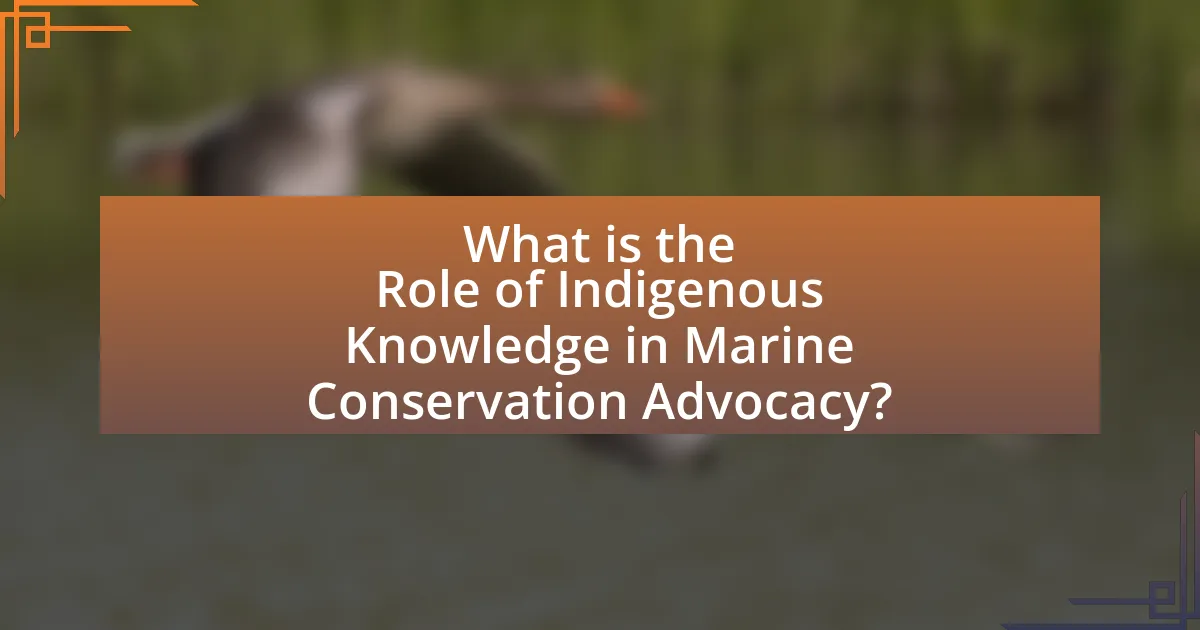 What is the Role of Indigenous Knowledge in Marine Conservation Advocacy?