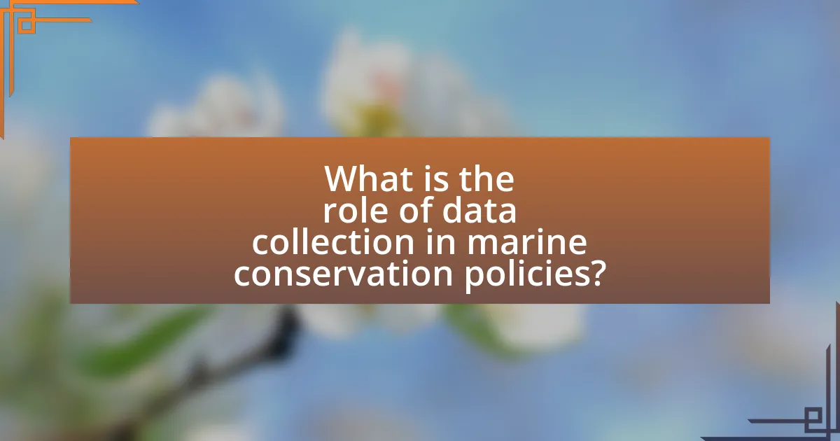 What is the role of data collection in marine conservation policies?