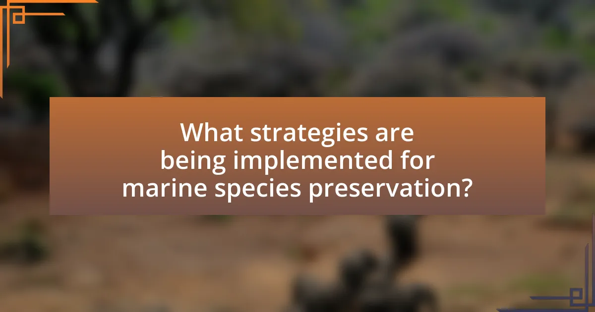 What strategies are being implemented for marine species preservation?