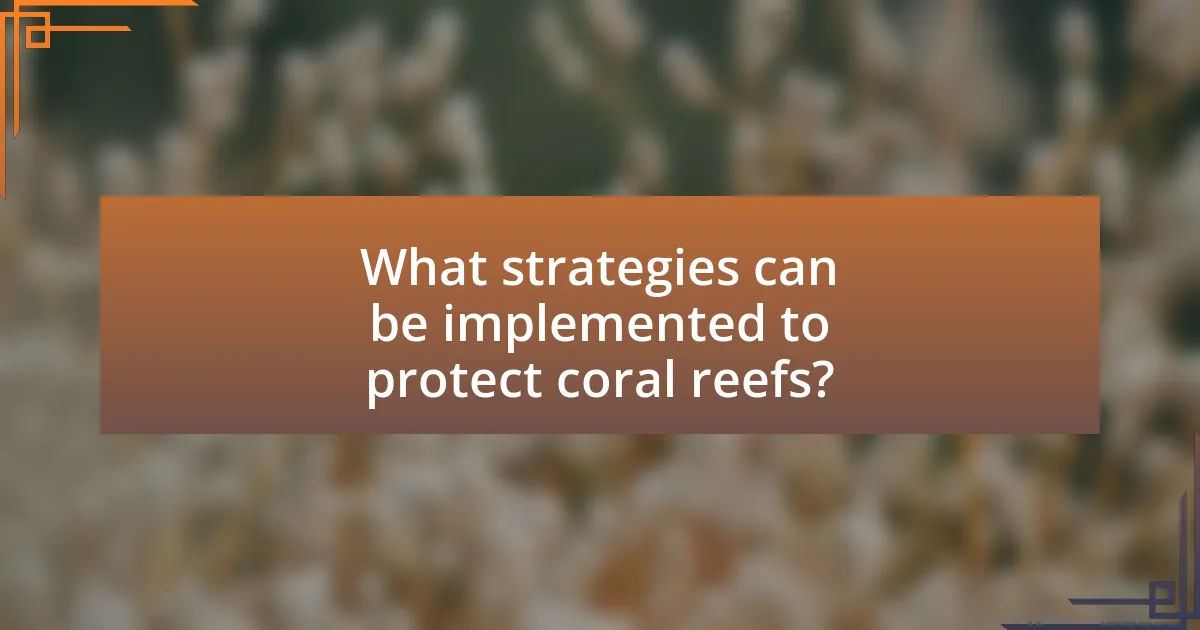 What strategies can be implemented to protect coral reefs?